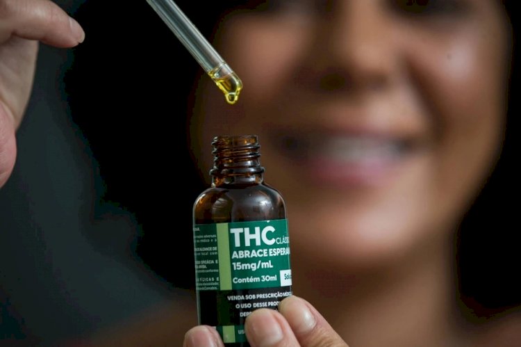 Brasil tem aumento de projetos de lei estaduais para garantir produtos à base de Cannabis para uso medicinal pelo SUS