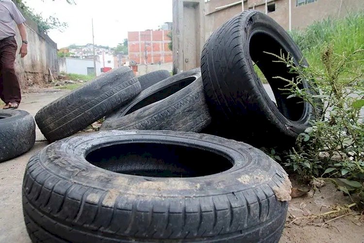 Período chuvoso e calor intenso aumentam risco de casos de dengue