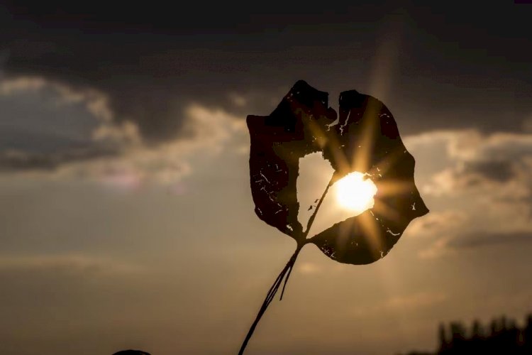 Nova onda de calor no Brasil a partir desta 5ª; veja temperaturas até domingo