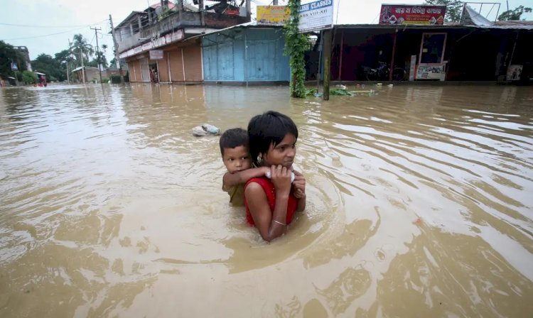 Mudanças climáticas podem agravar quadro de doenças como dengue e zika