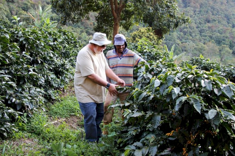 Com 1,8 mil títulos de terras entregues neste ano, Governo de Minas projeta mais 5,4 mil propriedades rurais regularizadas até 2026