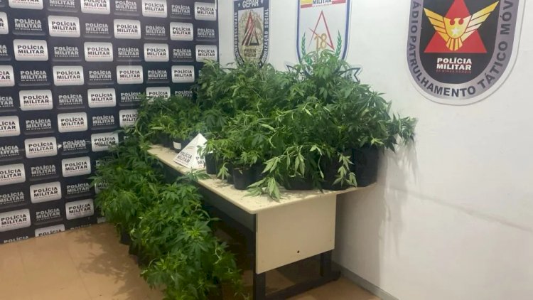 Casa abandonada em Contagem tinha sofisticado esquema de plantio e cultivo de maconha