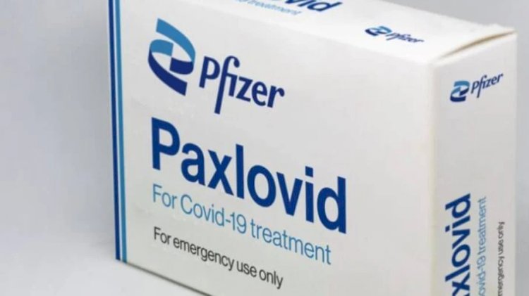 Anvisa aprova registro definitivo de pílula anti-Covid da Pfizer