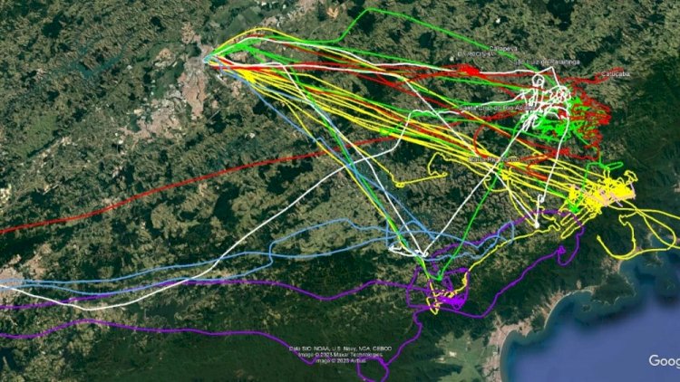 Helicóptero desaparecido: PM pede ajuda de moradores com informações para buscas