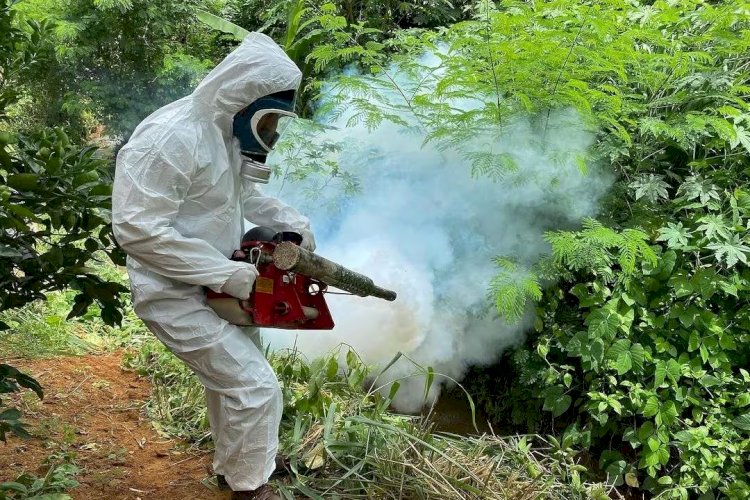 Ipatinga decreta situação de emergência por alta na infestação do aedes aegypti