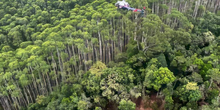 Vítimas de queda de helicóptero são retiradas de local do acidente