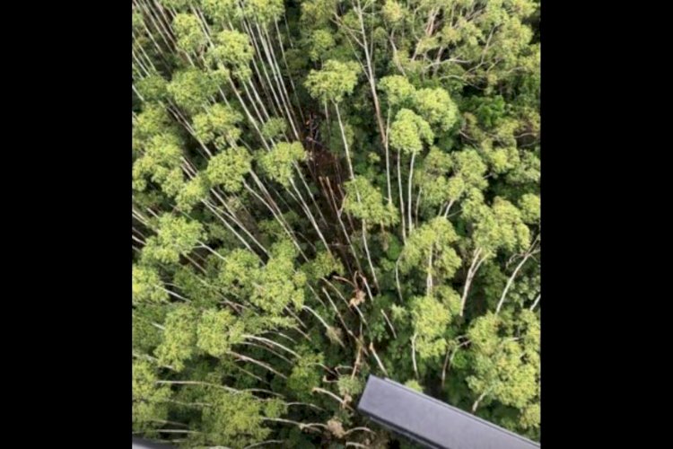 Causa da queda de helicóptero que ia para Ilhabela é detalhada; entenda