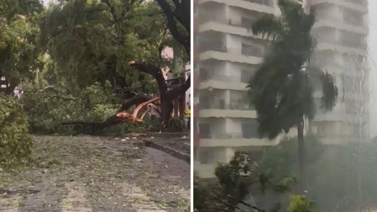 Vídeo: chuva com granizo derruba árvores e assusta moradores no interior de MG