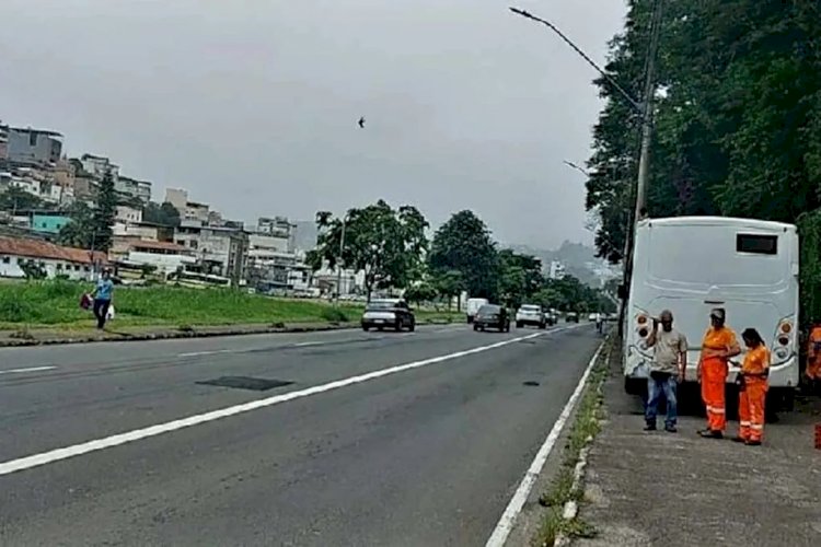 Passarela do Samba volta para o Mariano Procópio