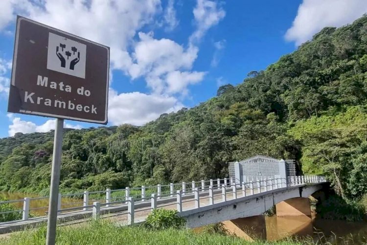 Abertura de Parque Estadual Mata do Krambeck segue sem previsão