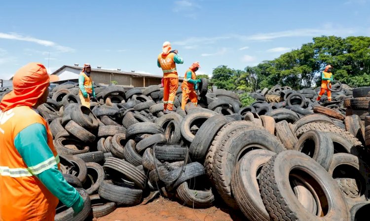 Brasil pode registrar até 4,2 milhões de casos de dengue em 2024