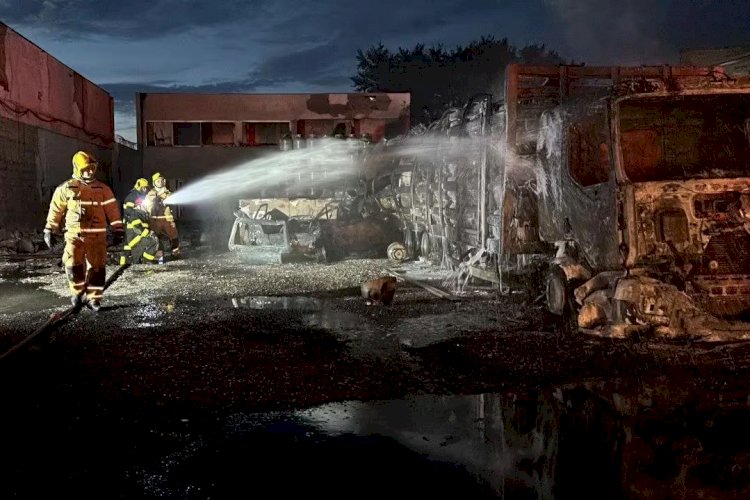 Vídeo: Incêndio destrói depósito de botijões de gás e seis caminhões em Minas