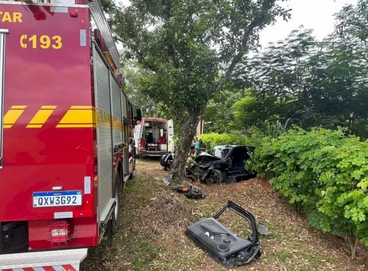 Motorista fica preso às ferragens após bater carro de frente com árvore às margens da MGC-265