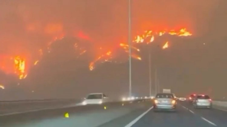 Incêndios florestais no Chile causam ao menos 19 mortes