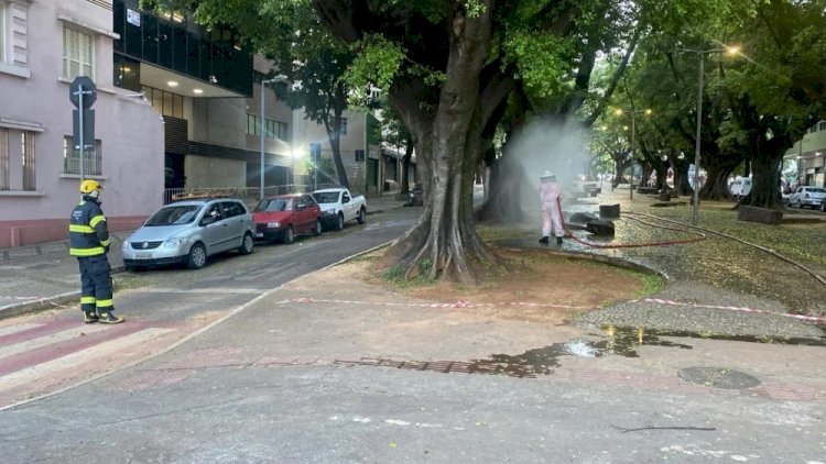 Enxame de abelhas ataca foliões durante desfile de bloco neste sábado (3)