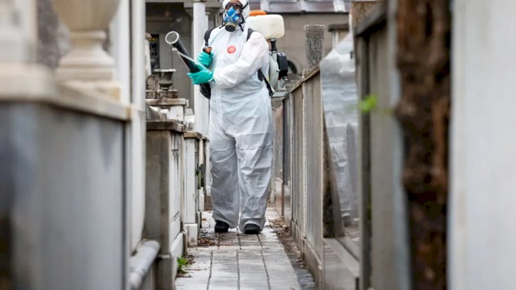 Rio de Janeiro decreta estado de emergência por conta da dengue 6 dias antes do Carnaval