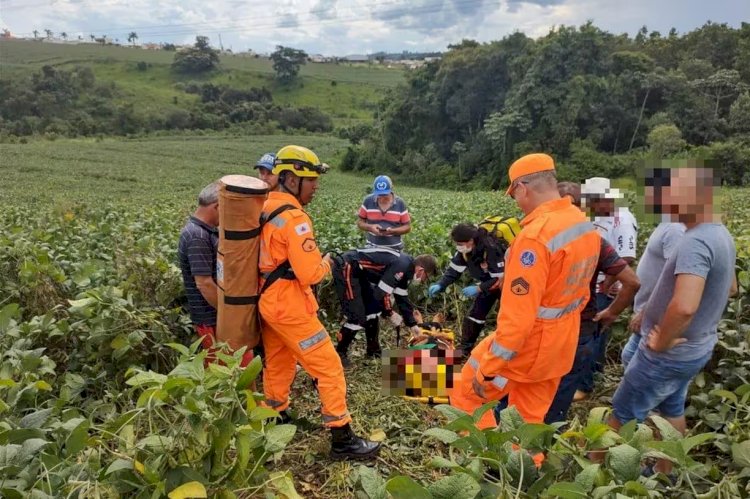 Idoso que sumiu de asilo é encontrado em plantação de soja no Sul de MG