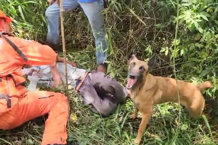 Idoso de 88 anos é encontrado no meio do mato após desaparecer por quase 2 dias