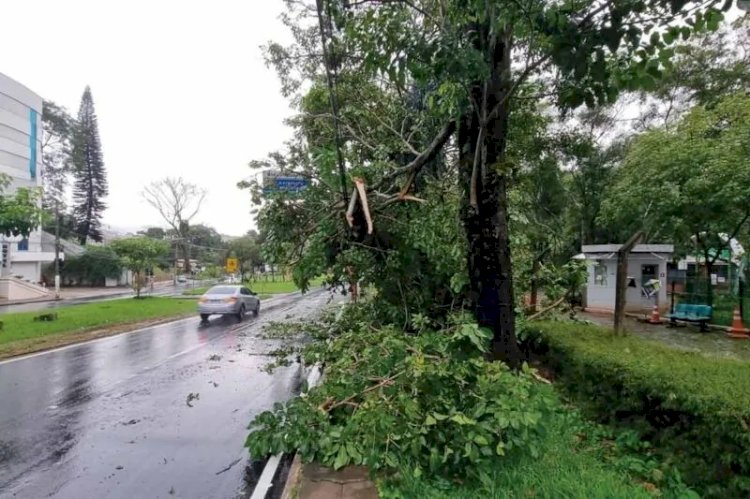 Fortes chuvas causam estragos em Juiz de Fora