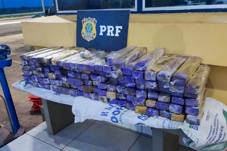 Polícia apreende 100 kg de maconha escondidos no porta-malas de um carro em MG