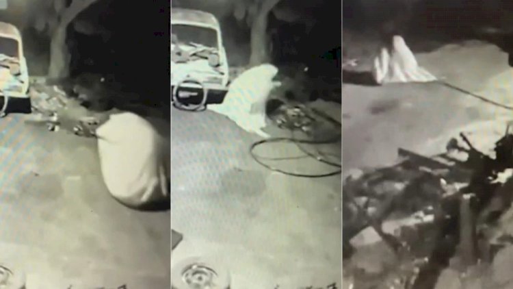 Vídeo: ‘fantasma’ é flagrado furtando peças de empresa de carro