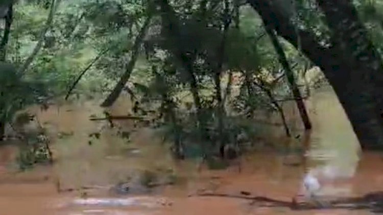 Vídeo: temporal alaga parte da MGC-122 no Norte de Minas