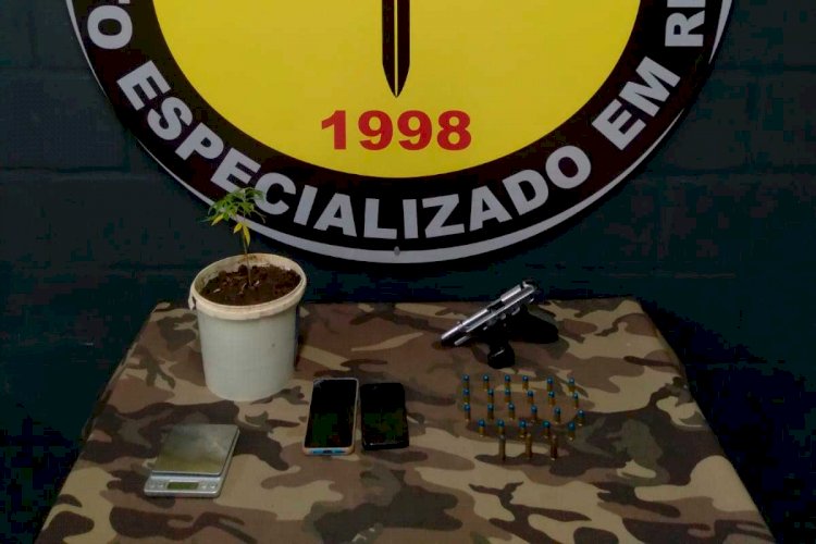 Polícia encontra pé de maconha em varanda na Zona Norte de JF