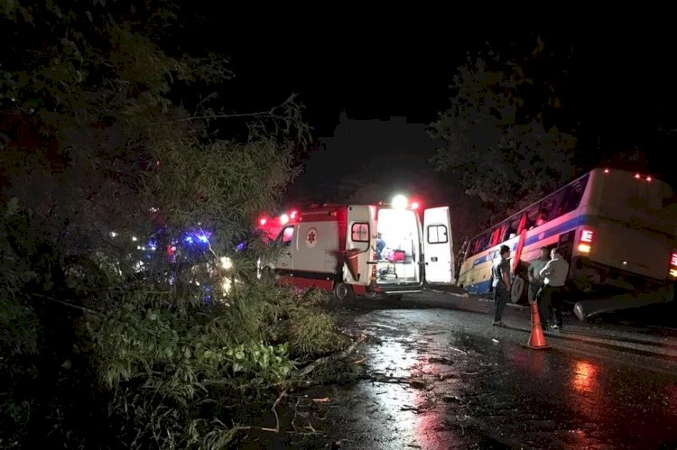 Acidente entre ônibus deixa ao menos cinco feridos na BR-251