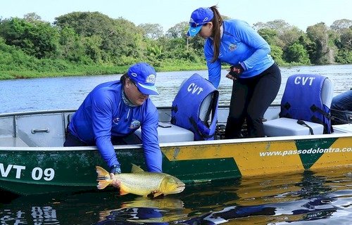 Piracema: com fim do defeso, pescadores podem retomar atividade de pesca