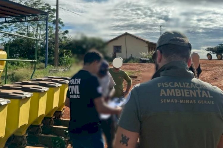 Fazendas de MG desmatavam áreas preservadas para produzir carvão, conclui PCMG