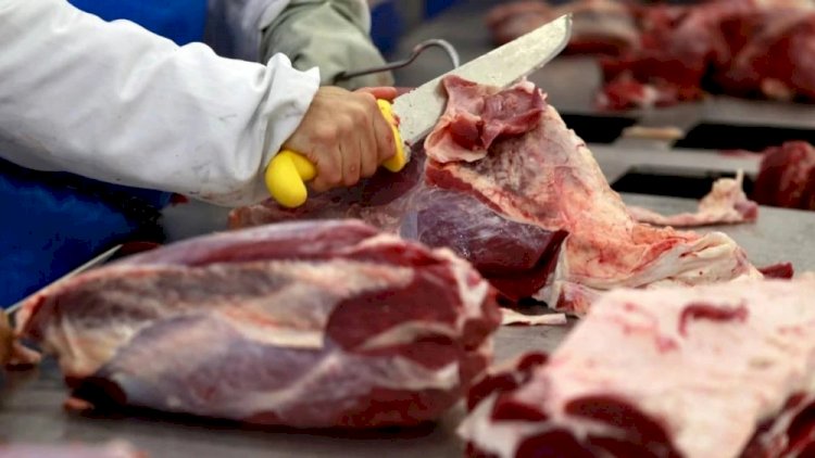 MP mira em frigoríficos que ofereciam carnes impróprias para merenda de escolas em Minas