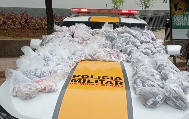 Escondidas em sacos de lixo, mais de 5 mil porções de maconha e cocaína são apreendidas em MG