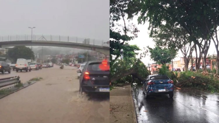 Chuva forte derruba árvores e alaga Via Expressa em Contagem, na Grande BH