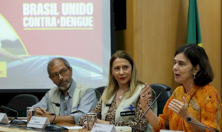 Juntas, dengue e gripe podem pressionar sistema de saúde, diz ministra