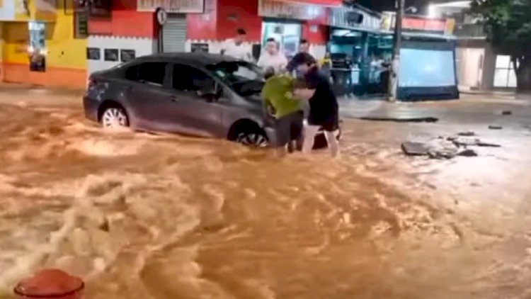 Chuva provoca mais de 30 casos de alagamentos e quedas de árvores em Minas