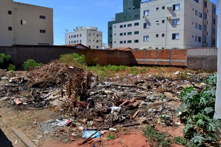 Proprietários que não providenciam limpeza de lotes em Montes Claros podem ser multados; veja como denunciar