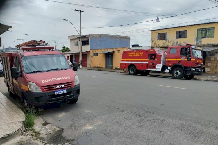 Ataque de abelhas mata cachorro e deixa três pessoas feridas no Sul de Minas