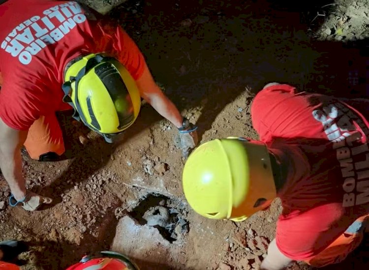 VÍDEO: Cadela e filhotes soterrados e presos dentro de cano são resgatados por bombeiros em MG