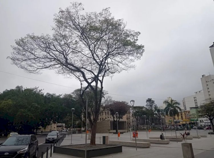 Frente fria chegando: Temperatura pode cair até 5 ºC em Juiz de Fora, Barbacena e região