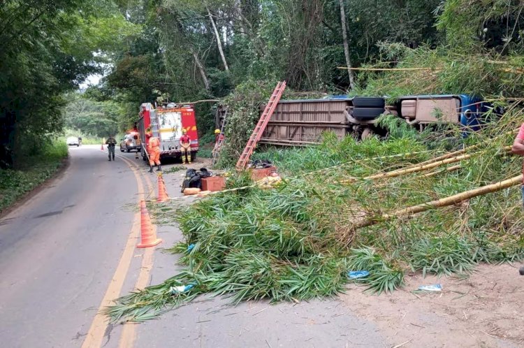 DER investiga empresa responsável por ônibus que tombou e matou 7 pessoas em MG