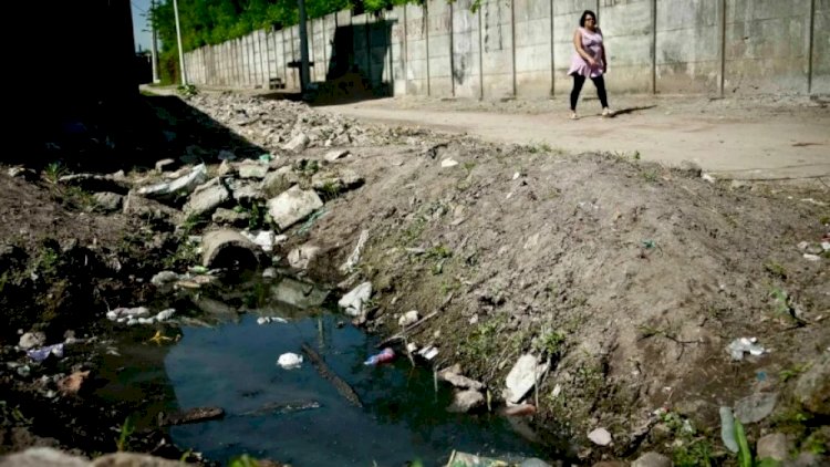 Volta da cólera no Brasil: com novos surtos e escassez de doses, OMS aprova nova vacina