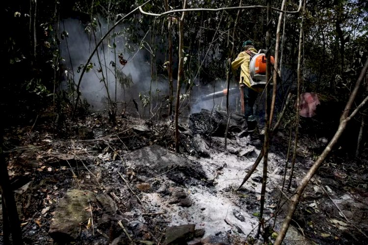 Processo para contratação de brigadistas está com inscrições abertas; há 134 vagas para a região