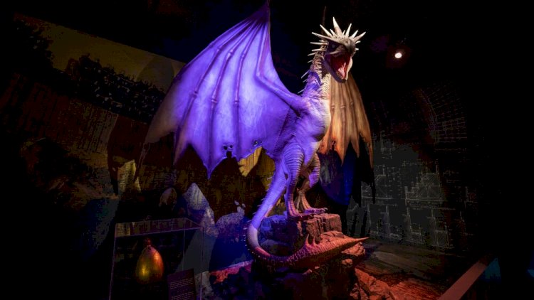 A maior exposição interativa sobre Harry Potter e o Mundo Mágico chega ao Brasil