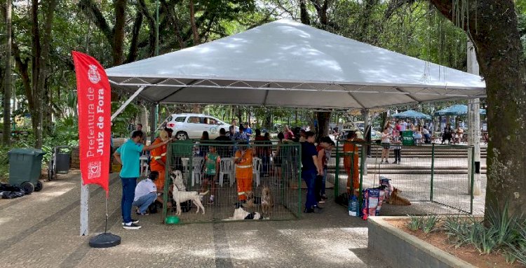 Parque Halfeld recebe evento de adoção do Canil Municipal neste sábado, 27