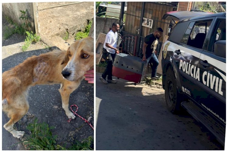 PCMG resgata animal em situação de maus-tratos em Juiz de Fora