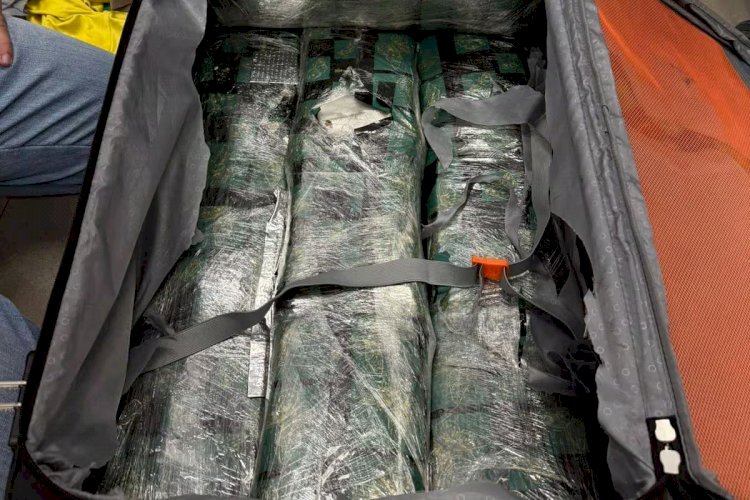 Polícia apreende 13 kg de supermaconha em mala no aeroporto de Confins