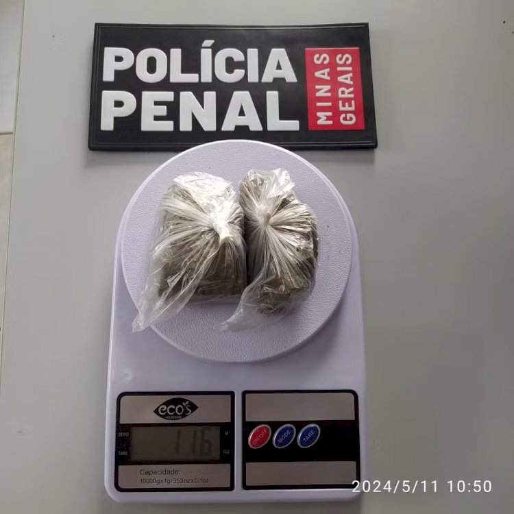 Com maconha escondida no sutiã, mulher é barrada durante revista no presídio de Araguari