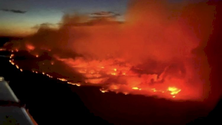 Incêndios florestais obrigam milhares de pessoas a deixarem casas no Canadá