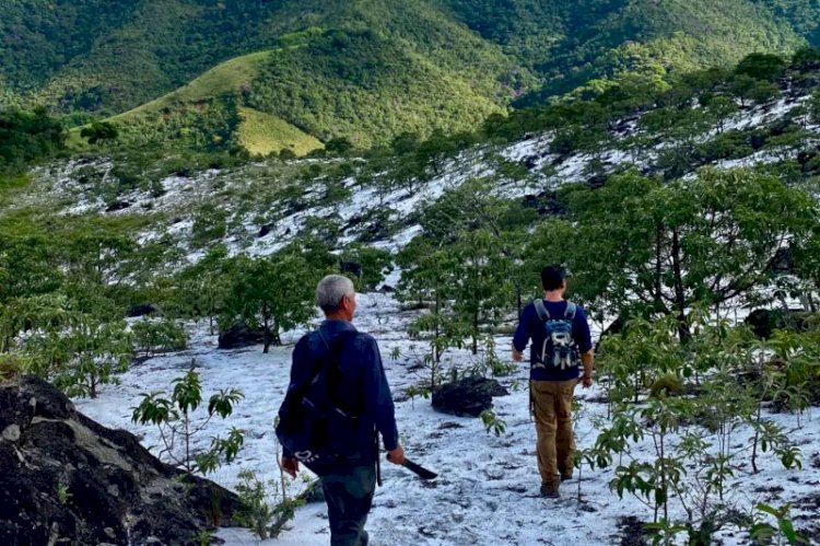 Com quatro portarias, Parque Estadual Serra Negra da Mantiqueira promete fomentar ecoturismo na região