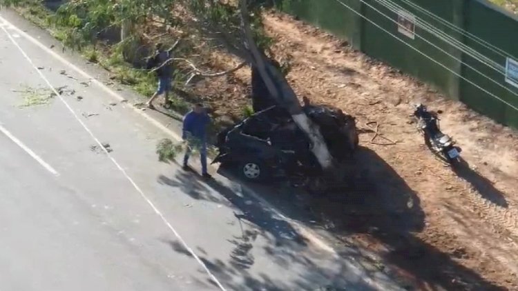 Carro parte ao meio ao bater em árvore em avenida de Ribeirão das Neves